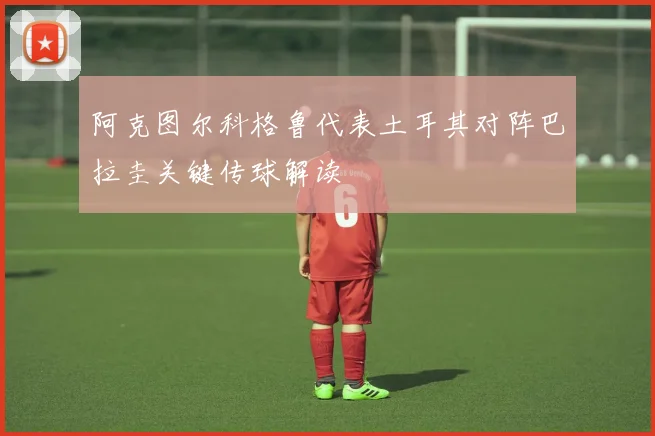 阿克图尔科格鲁代表土耳其对阵巴拉圭关键传球解读