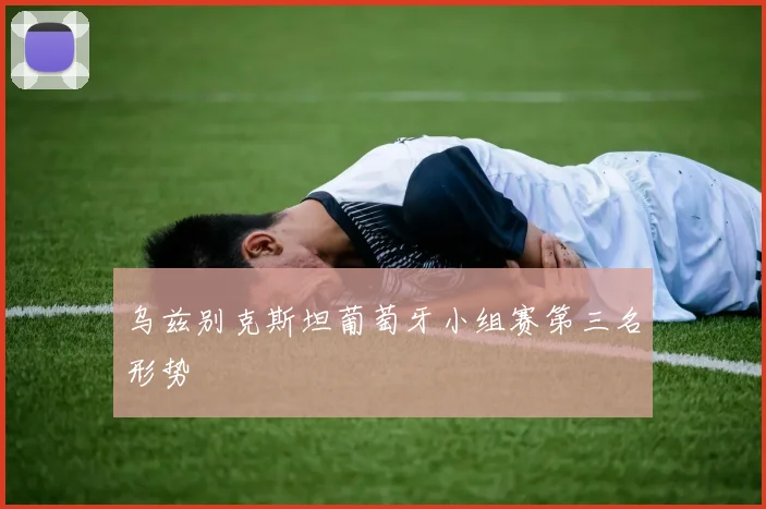 乌兹别克斯坦葡萄牙小组赛第三名形势