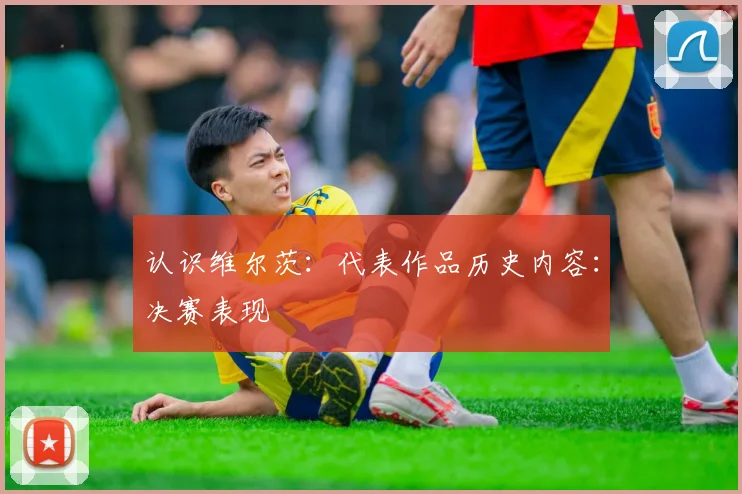 认识维尔茨：代表作品历史内容：决赛表现