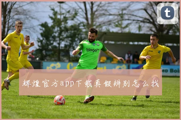 辉煌官方app下载真假辨别怎么找