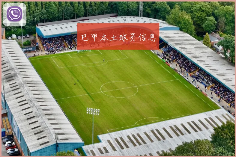 巴甲本土球员信息