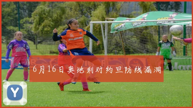6月16日奥地利对约旦防线漏洞