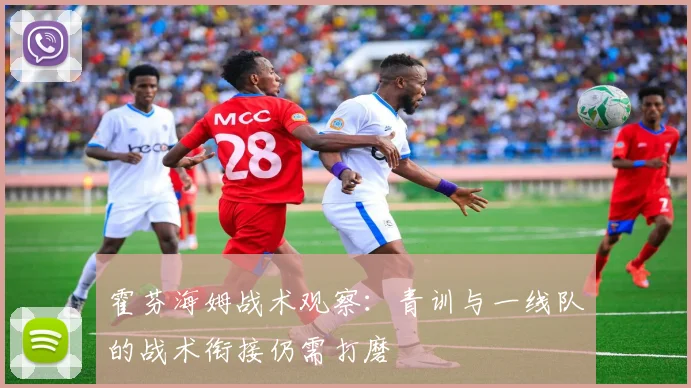 霍芬海姆战术观察：青训与一线队的战术衔接仍需打磨